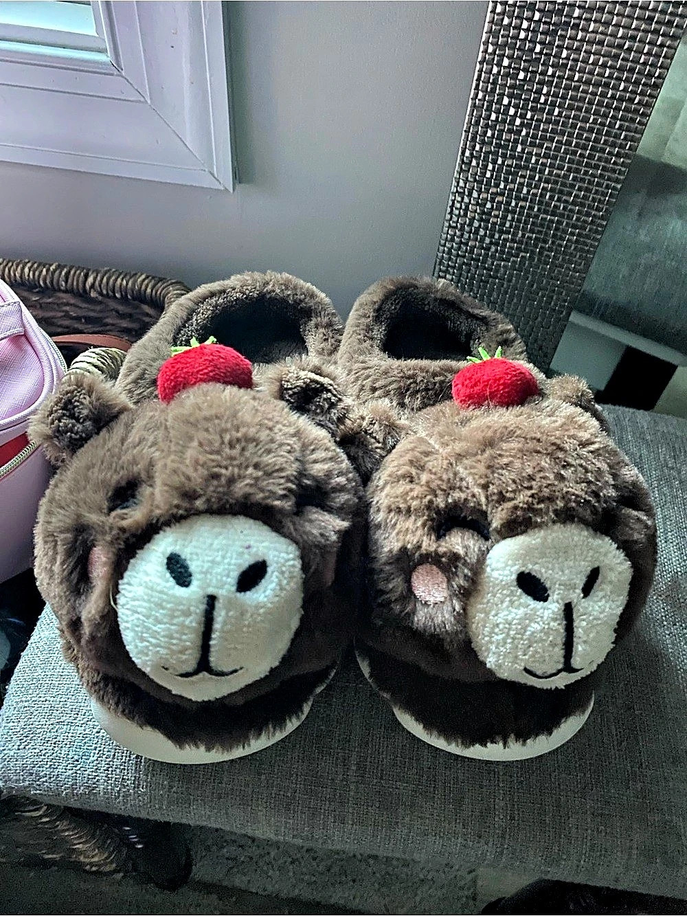 Capybara slippers